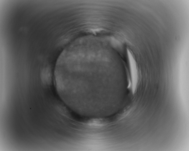 X0000088400080200706051143