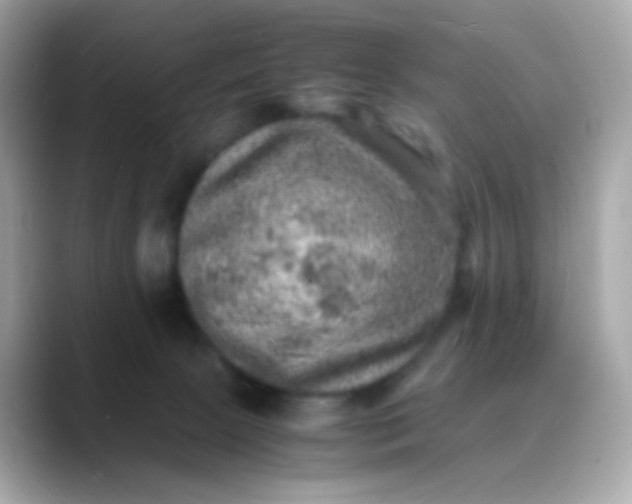 X0000088400081200706051143