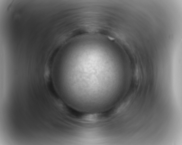 X0000088400084200706051143