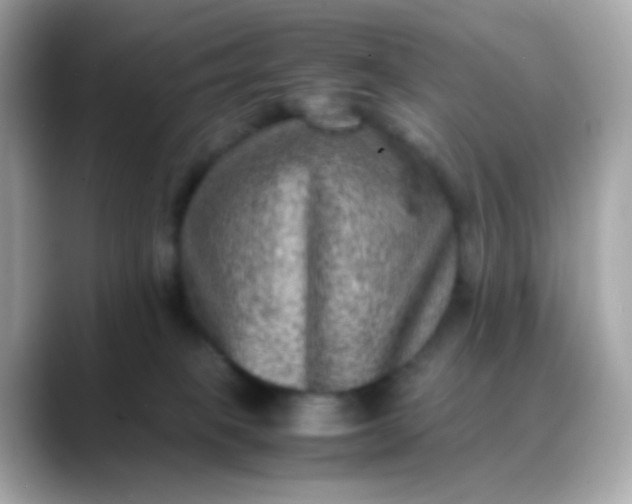 X0000088400085200706051143