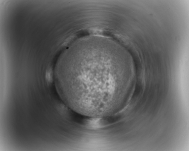 X0000088400090200706051143