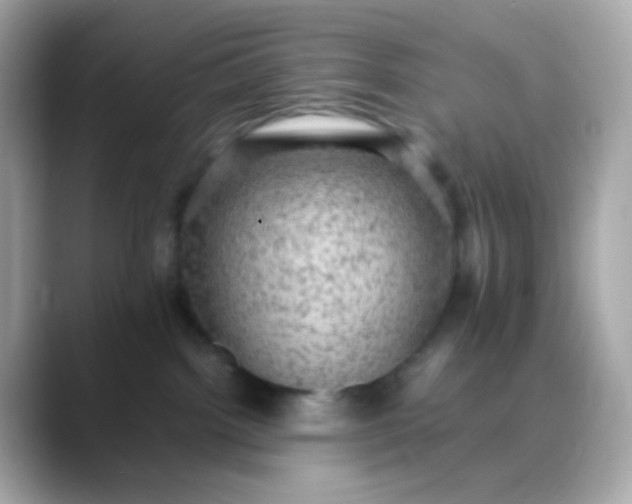 X0000088400092200706051143