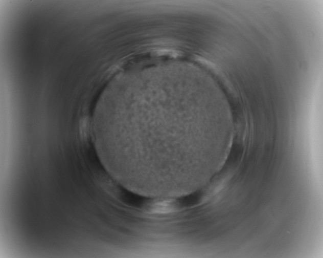 X0000088400093200706051143