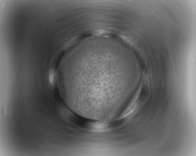 X0000088400094200706051143