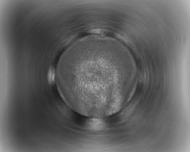 X0000088400095200706051143