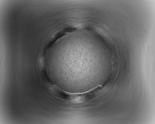 X0000088400096200706051143