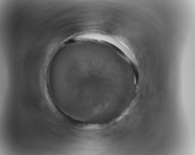 X0000088400097200706051143