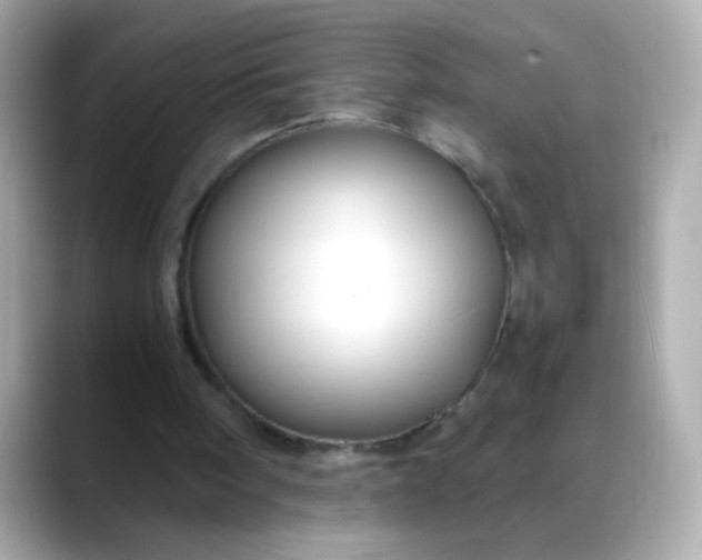 X0000088400098200706051143