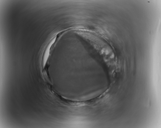 X0000088400099200706051143