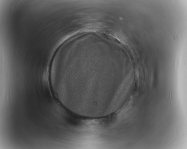 X0000088400100200706051143