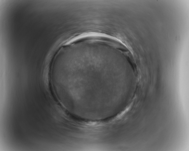 X0000088400101200706051143