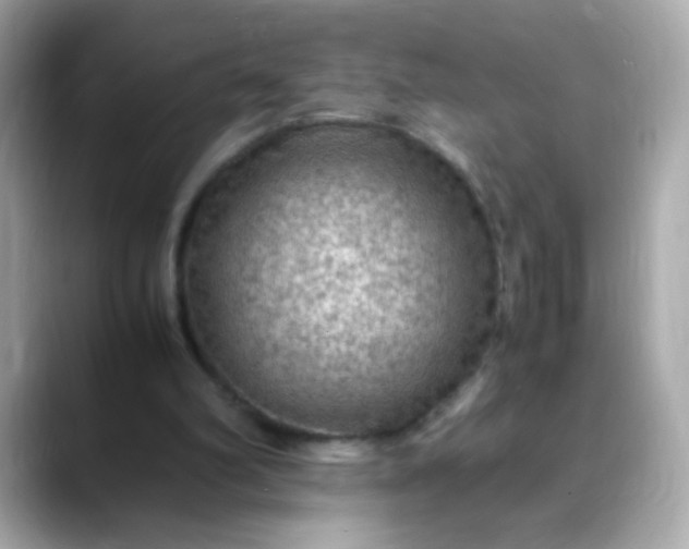 X0000088400102200706051143