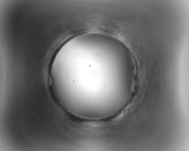 X0000088400103200706051143