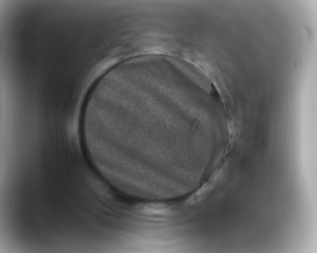 X0000088400104200706051143