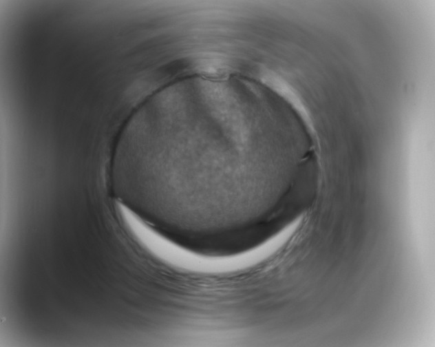 X0000088400105200706051143