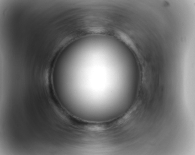 X0000088400106200706051143