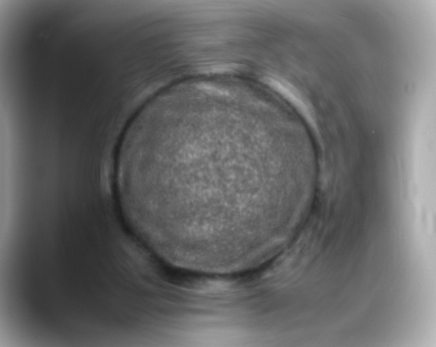 X0000088400107200706051143