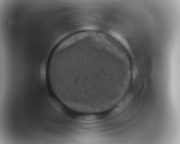 X0000088400108200706051143