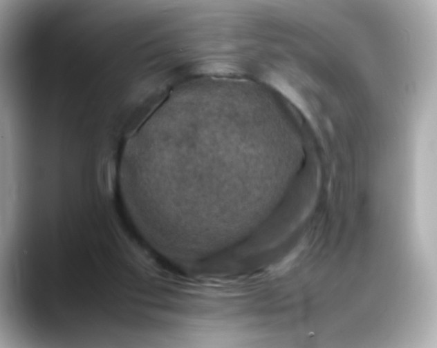 X0000088400109200706051143