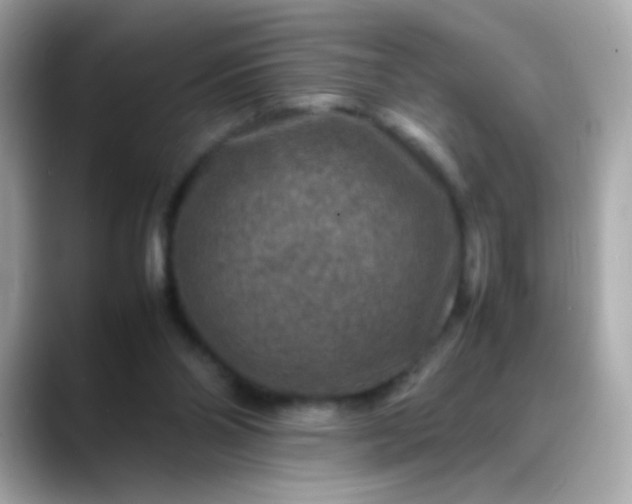 X0000088400110200706051143