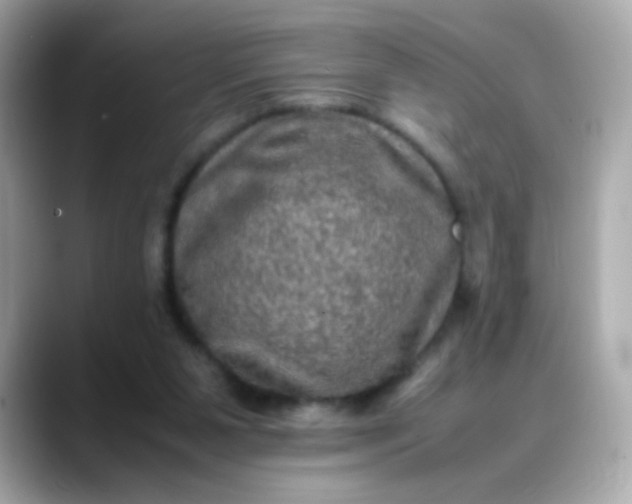 X0000088400111200706051143