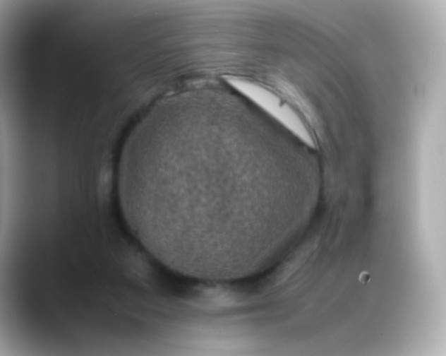 X0000088400113200706051143