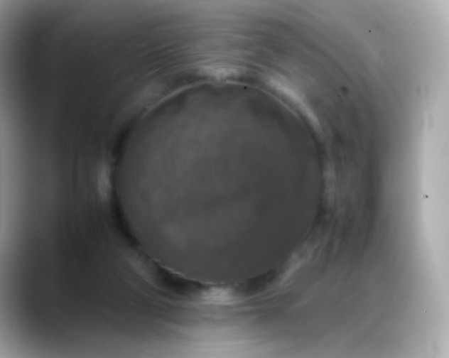 X0000088400114200706051143