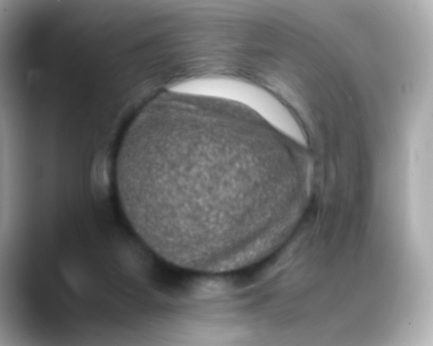 X0000088400115200706051143