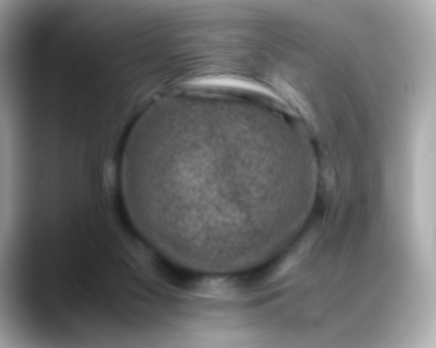 X0000088400117200706051143