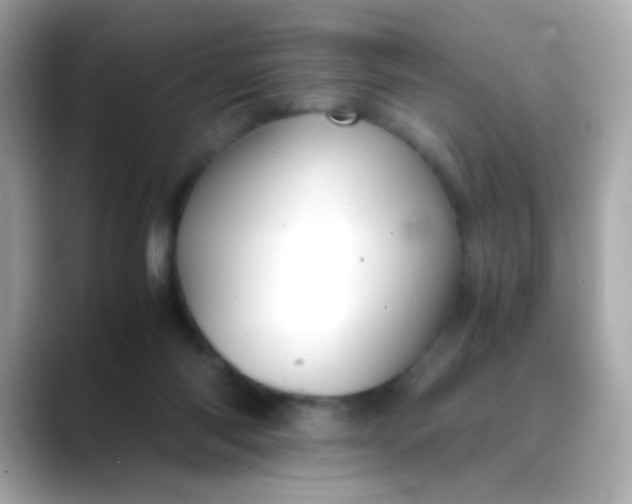 X0000088400118200706051143