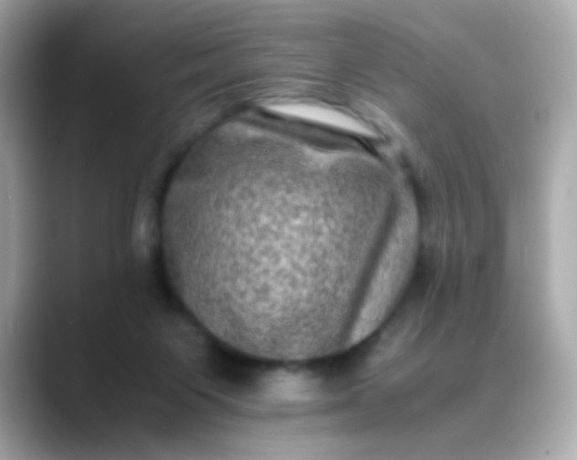 X0000088400119200706051143