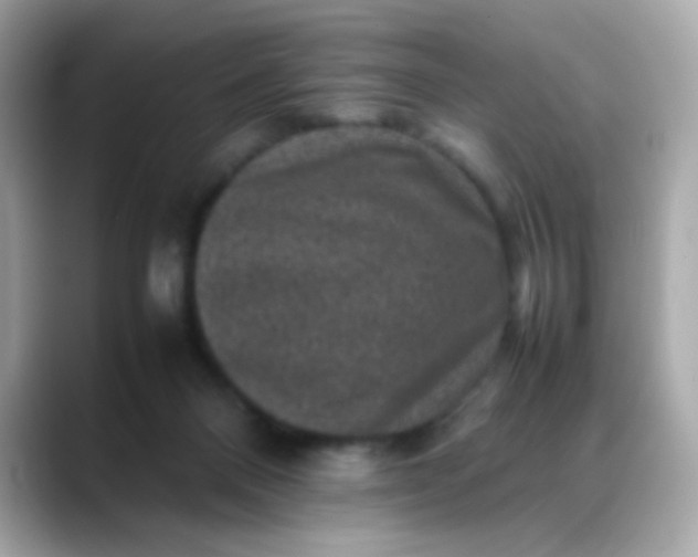 X0000088400120200706051143