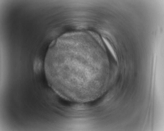 X0000088400123200706051143