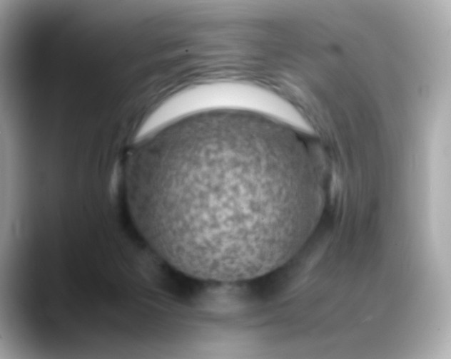 X0000088400125200706051142