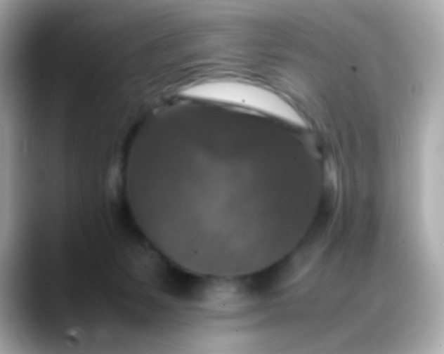 X0000088400127200706051142