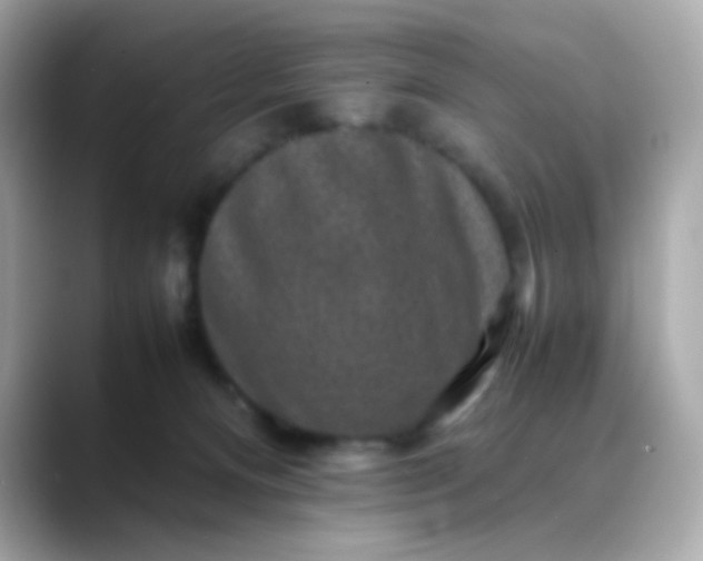 X0000088400128200706051142