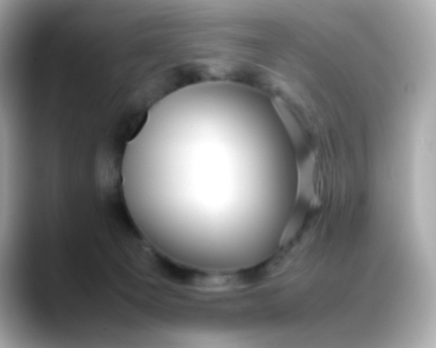 X0000088400129200706051142