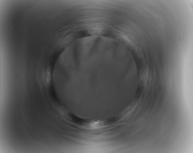 X0000088400130200706051142