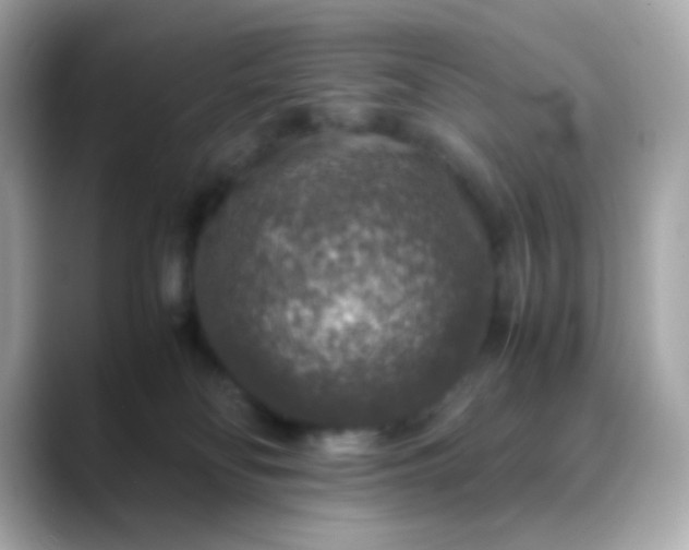 X0000088400134200706051142