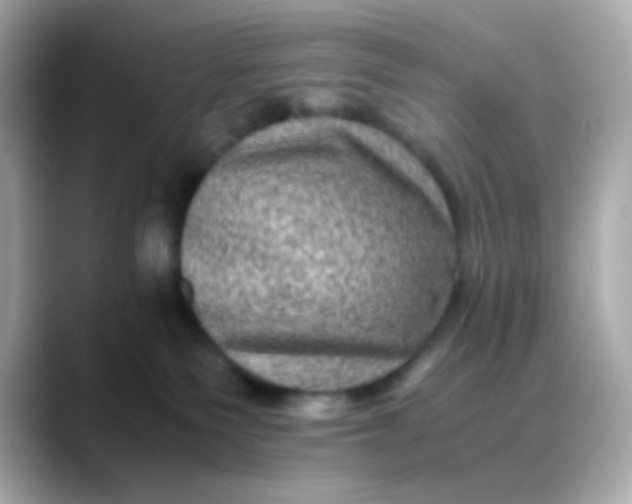 X0000088400135200706051142