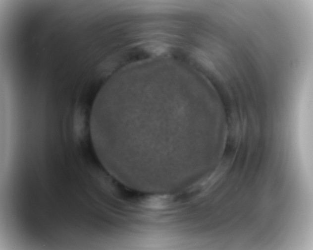 X0000088400136200706051142