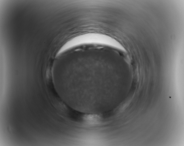 X0000088400137200706051142