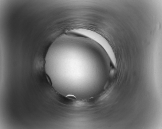 X0000088400141200706051142