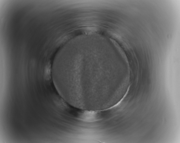 X0000088400144200706051142