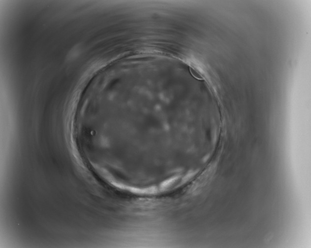 X0000088400145200706051142