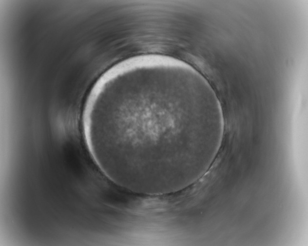 X0000088400146200706051142