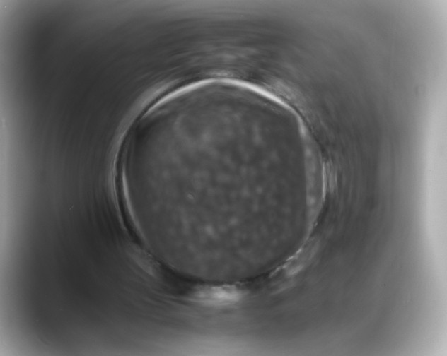 X0000088400147200706051142