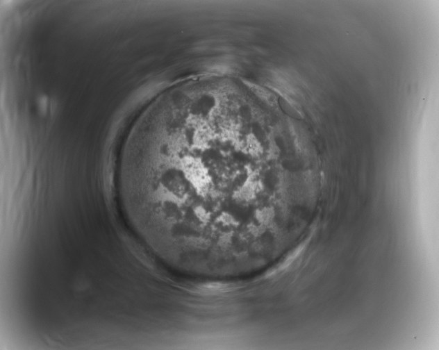 X0000088400149200706051142