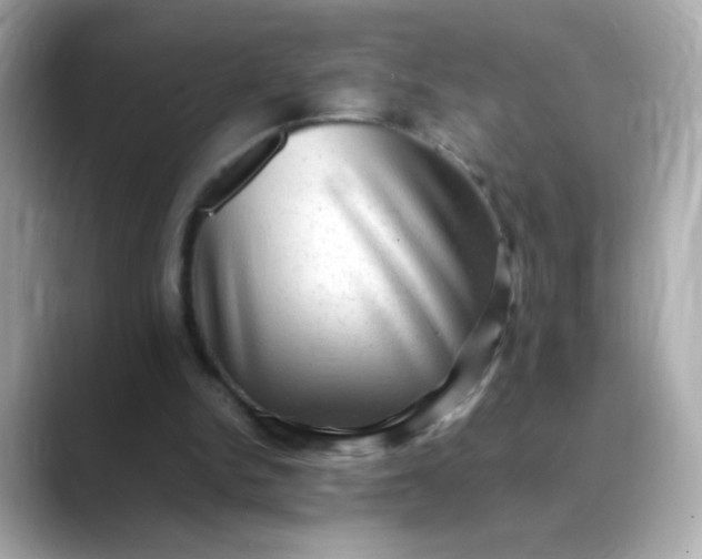 X0000088400150200706051142