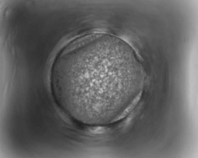 X0000088400151200706051142